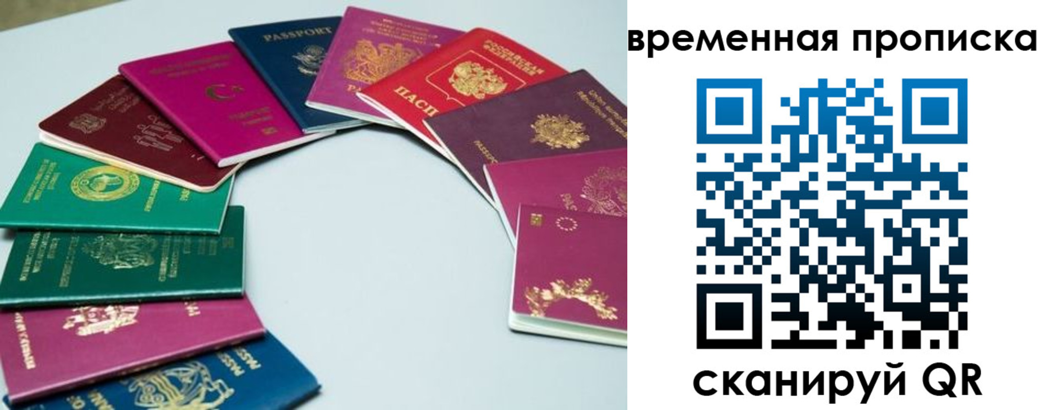 найти адрес прописки в Козельске